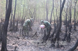 Phó Thủ tướng Thường trực Chính phủ Trương Hòa Bình yêu cầu làm rõ một số vụ phá rừng, cháy rừng
